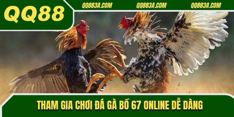 Tham gia chơi đá gà bồ 67 online dễ dàng